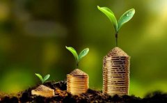 中信銀行嘉興分行發放首筆綠色包容性企業貸款